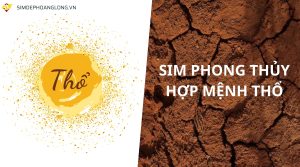 Sim phong thủy hợp mệnh thổ