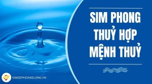 sim phong thuỷ mệnh thuỷ