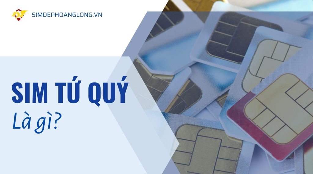 Sim tứ quý là gì
