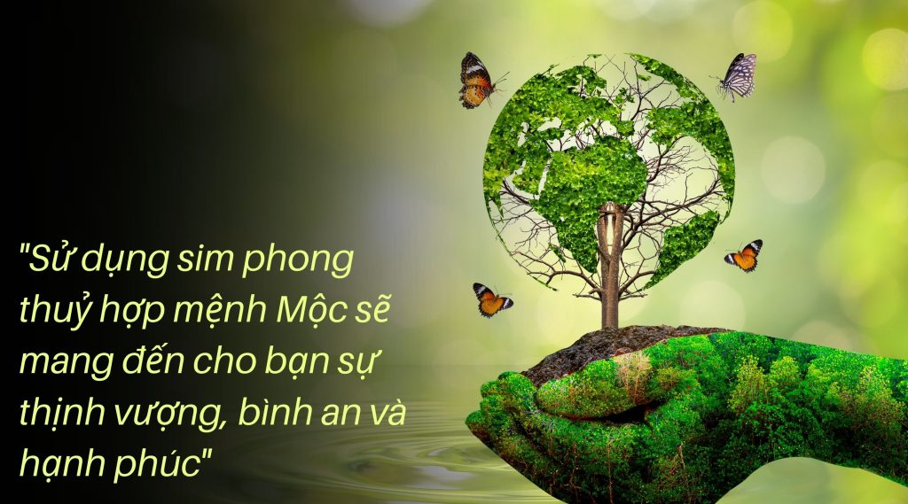 sử dụng sim phong thuỷ mệnh mộc